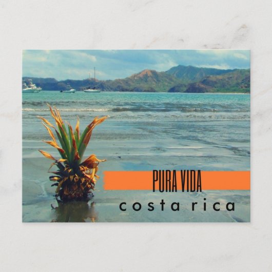 Costa Rica Ananas op het strand Briefkaart (Voorkant)