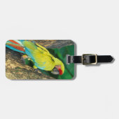 Costa Rica, Ara Ambigua, Great Green Macaw. Bagagelabel (Voorkant horizontaal)