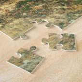 Costa Rica, Ara Ambigua, Great Green Macaw. Legpuzzel (Zijkant)