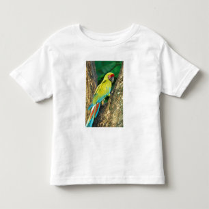Costa Rica, Ara Ambigua, Grote Groene Ara. Kinder Shirts