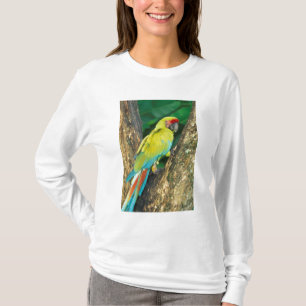 Costa Rica, Ara Ambigua, Grote Groene Ara. T-shirt
