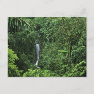 Costa Rica, Arenal vulkaan gebied, Hangende Brugge Briefkaart