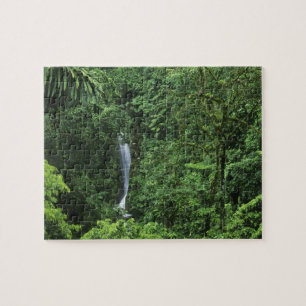 Costa Rica, Arenal vulkaan gebied, Hangende Brugge Legpuzzel