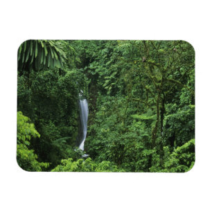 Costa Rica, Arenal vulkaan gebied, Hangende Brugge Magneet