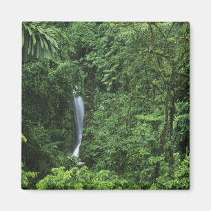 Costa Rica, Arenal vulkaan gebied, Hangende Brugge Magneet