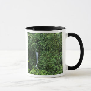 Costa Rica, Arenal vulkaan gebied, Hangende Brugge Mok