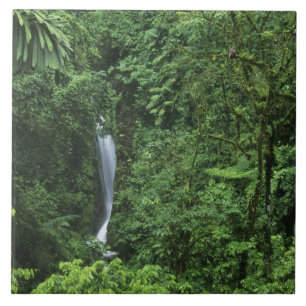 Costa Rica, Arenal vulkaan gebied, Hangende Brugge Tegeltje