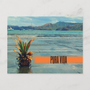 Costa Rica Beach Pura Vida Briefkaart