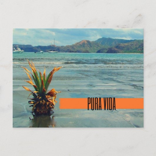 Costa Rica Beach Pura Vida Briefkaart (Voorkant)