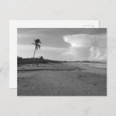 Costa Rica Beach with Palm Tree Photo  Briefkaart (Voorkant / Achterkant)