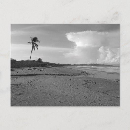 Costa Rica Beach with Palm Tree Photo  Briefkaart (Voorkant)