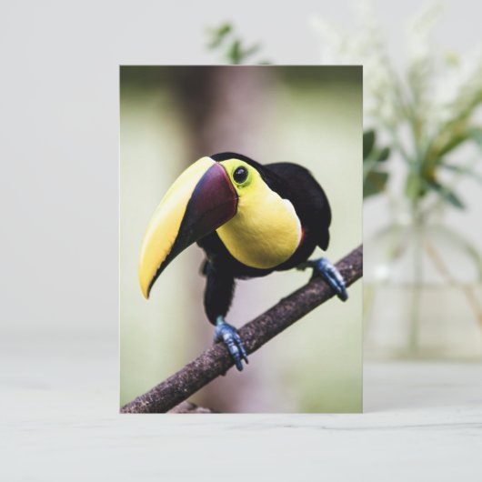 Costa Rica Bedankkaart (Staand voorkant)