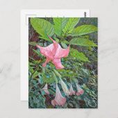 Costa Rica Bloedvat Briefkaart (Voorkant / Achterkant)