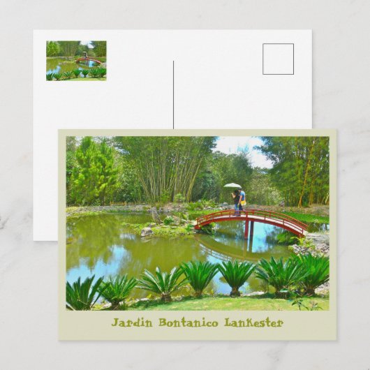 Costa Rica / Bontanical Park Briefkaart (Voorkant / Achterkant)