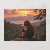 Costa Rica Briefkaart (Voorkant)