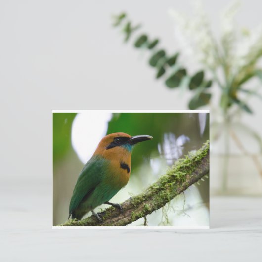 Costa Rica Briefkaart (Staand voorkant)