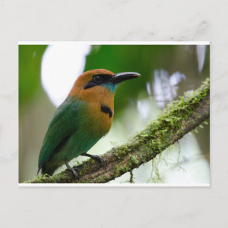 Costa Rica Briefkaart