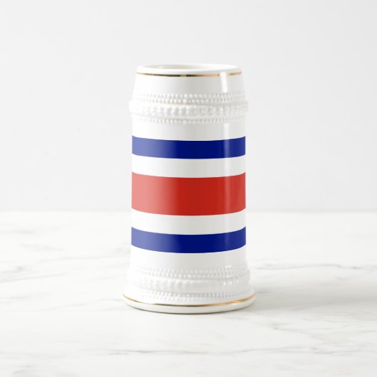 Costa Rica burger vlag Bierpul (Center)