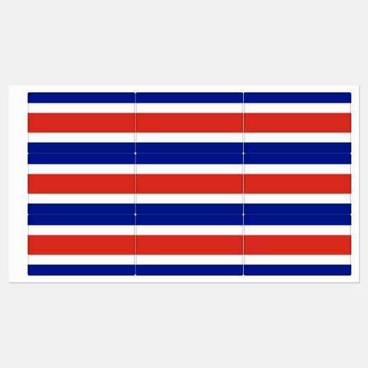 Costa Rica Burgervlag Labels (Vel)