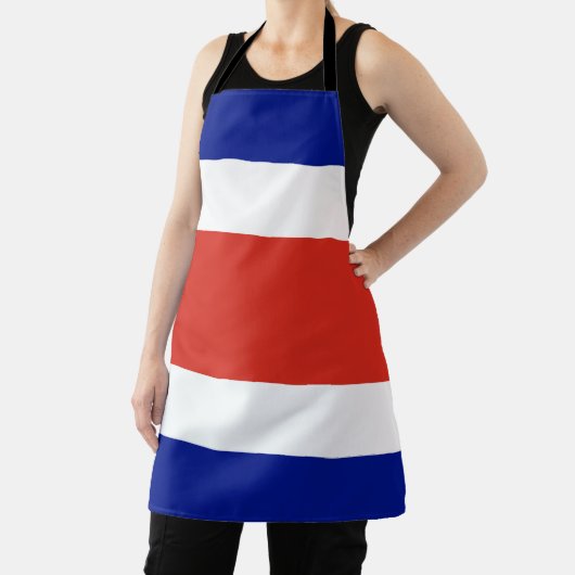 Costa Rica Burgervlag Schort (Insitu)
