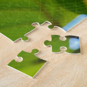 Costa Rica, Cahuita NP - Golden Orb Spider Legpuzzel (Zijkant)