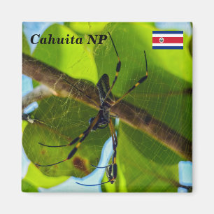 Costa Rica, Cahuita NP - Golden Orb Spider Magneet