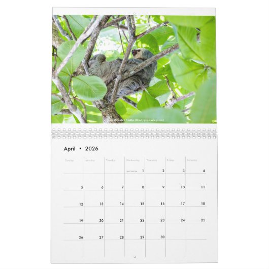 Costa Rica Calendar Kalender (Apr 2026)