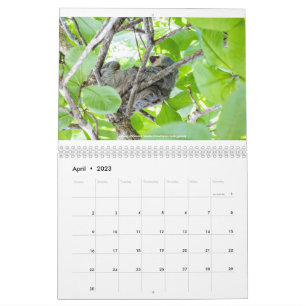 Costa Rica Calendar Kalender