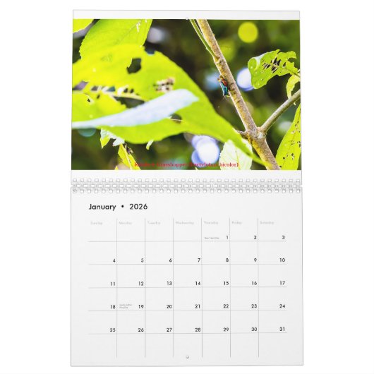 Costa Rica Calendar Kalender (Jan 2026)