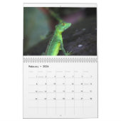 Costa Rica Calendar Kalender (Feb 2026)