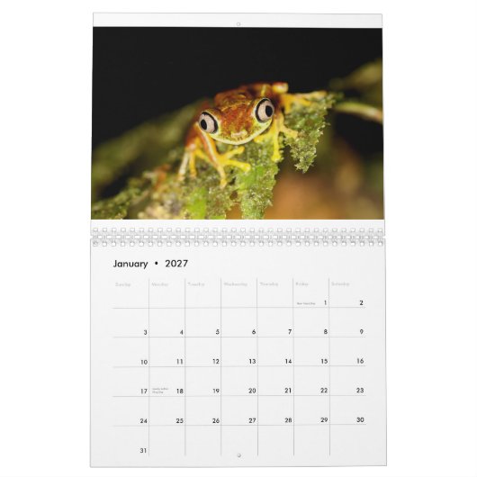 Costa Rica Calendar Kalender (Jan 2027)