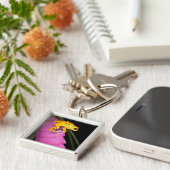 Costa Rica. Close-up van gifpijlkikker Sleutelhanger (Zijkant)