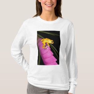 Costa Rica. Close-up van pijlgifkikker T-shirt