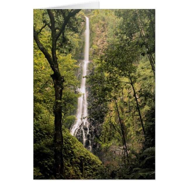 Costa Rica, Cocos-eiland, Waterval Wafer Bay (Voorkant)