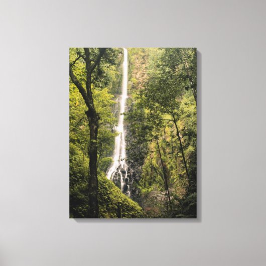 Costa Rica, Cocos Island, Wafer Bay Waterfall Canvas Afdruk (Voorkant)