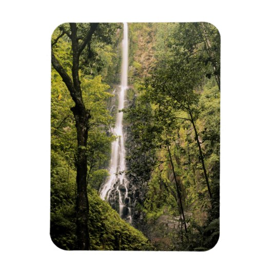 Costa Rica, Cocos Island, Wafer Bay Waterfall Magneet (Verticaal)