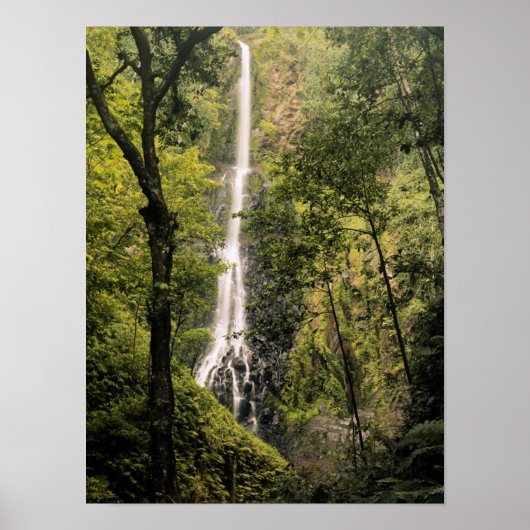 Costa Rica, Cocos Island, Wafer Bay Waterfall Poster (Voorkant)