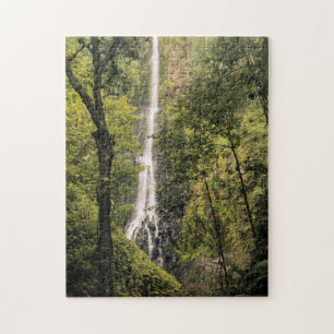 Costa Rica, Cocos Island, Waterval in Wafer Bay Legpuzzel