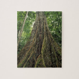 Costa Rica, Corcovado National Park, Gestut Legpuzzel