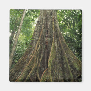Costa Rica, Corcovado National Park, Gestut Magneet