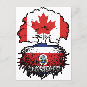 Costa Rica Costa Rican Canadian Canada Tree Roots Briefkaart