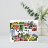 Costa Rica en Pura Vida. Briefkaart (Staand voorkant)