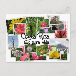 Costa Rica en Pura Vida. Briefkaart