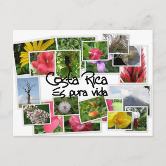 Costa Rica en Pura Vida. Briefkaart
