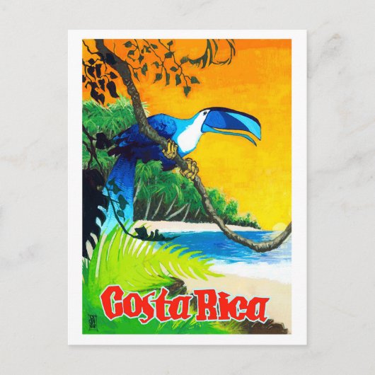 Costa Rica, exotische papegaai op het strand, Briefkaart (Voorkant)