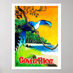 Costa Rica, exotische papegaai op het strand, vint Poster