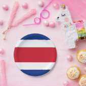 Costa Rica Flag Papieren Bordje (Feest)
