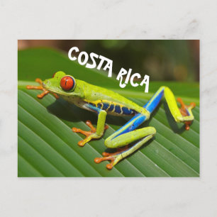 Costa Rica foto van rode oogboomkikker Briefkaart