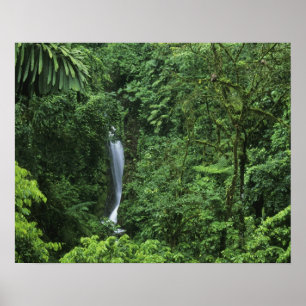 Costa Rica, gebied Arenal Volcano, Hangende brugge Poster