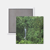 Costa Rica, gebied van de Arenal Volcano, Hangende Magneet (Voorkant / Achterkant)